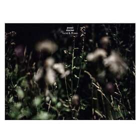 Anneli Drecker Rocks & Straws LP
