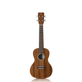 Cordoba 20CM