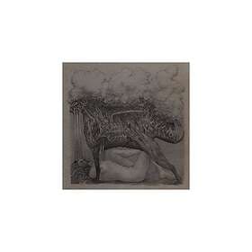 Ambarchi/OMalley/Dunn - Shade Themes From Kairos LP
