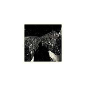 Secret Boyfriend: Memory Care Unit LP